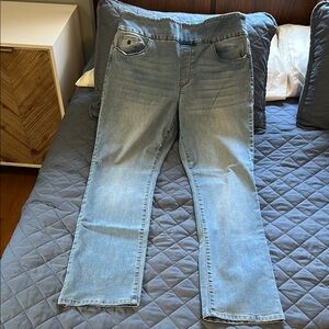 Gloria Vanderbilt Blue Straight Leg Jeans